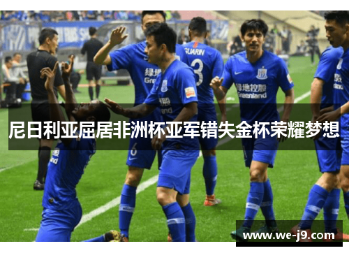 尼日利亚屈居非洲杯亚军错失金杯荣耀梦想